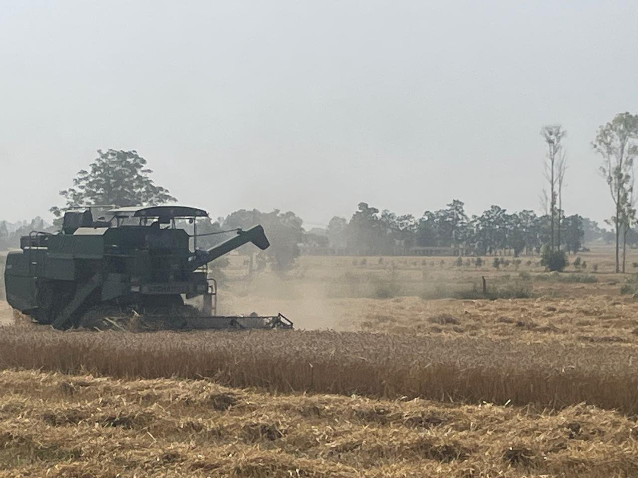A combine harvester working a wheat field